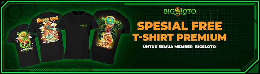 PROMO T-SHIRT